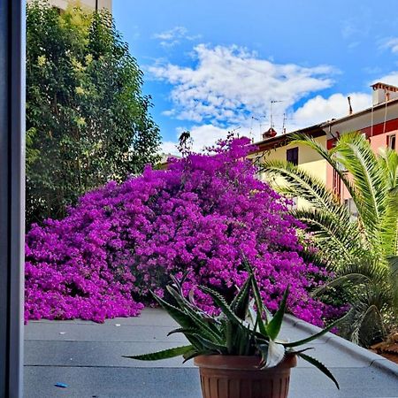 Ancora Qui, Nel Golfo Dei Poeti Leilighet La Spezia Eksteriør bilde